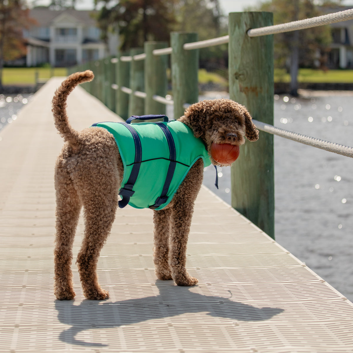 Dog wearing a life jacket on a wooden dock by a body of water.