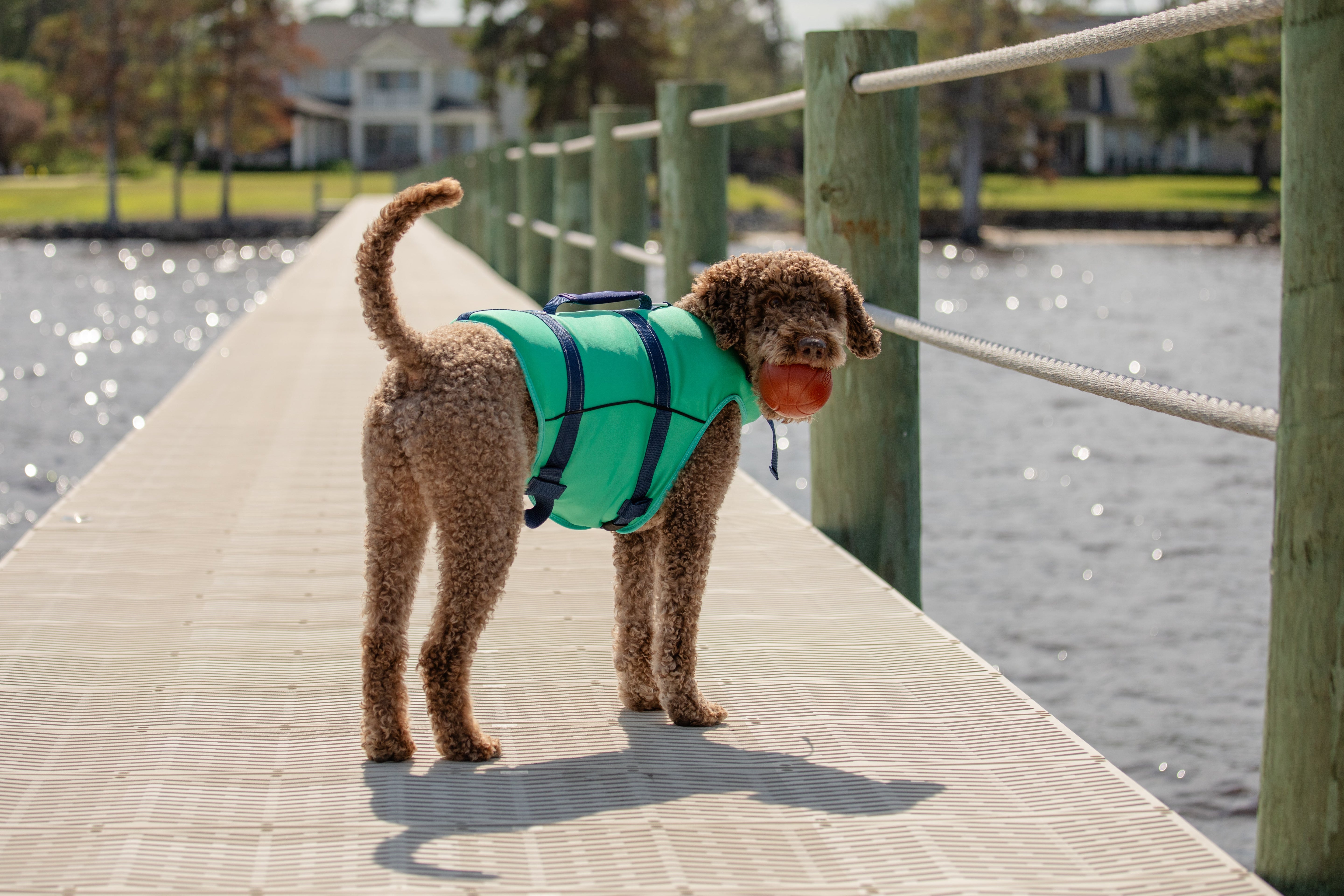 Dog Life Jackets
