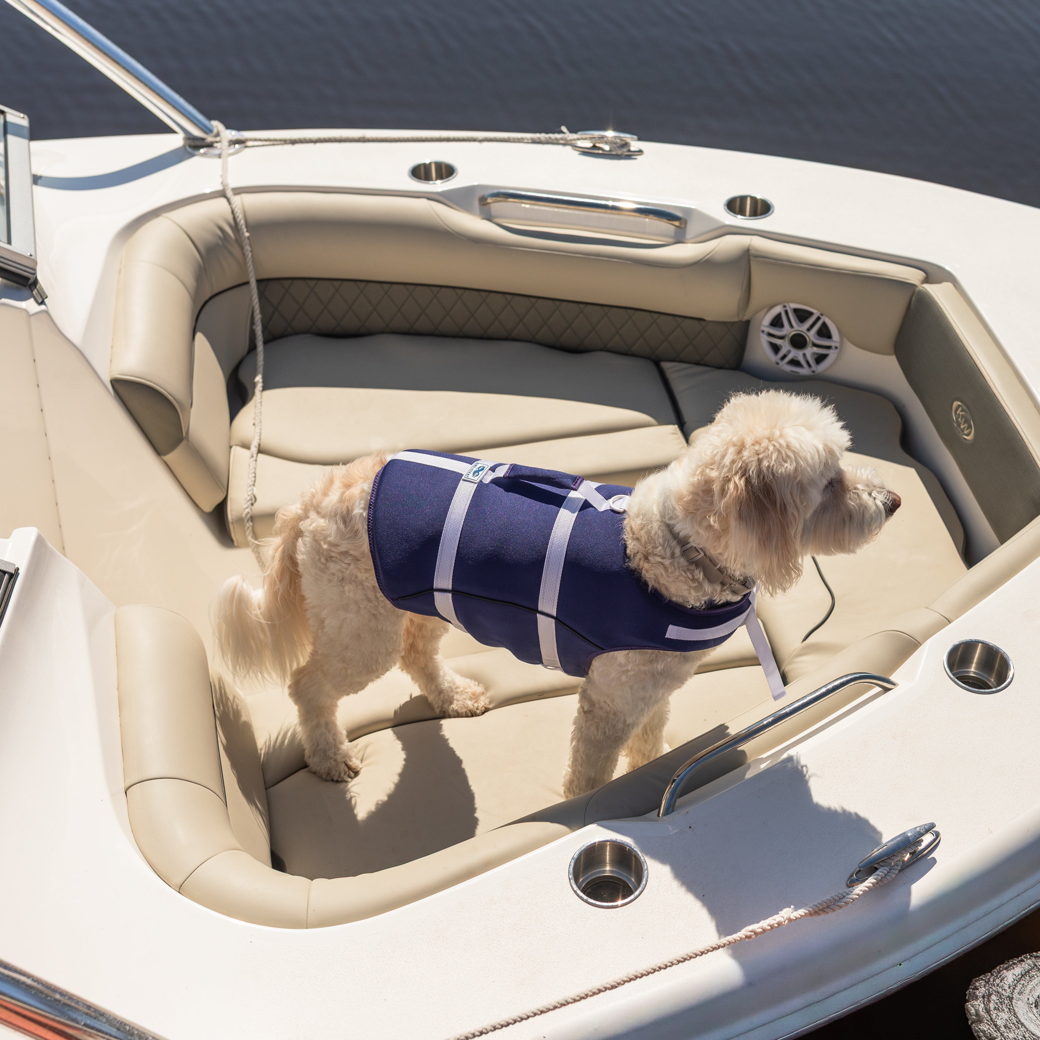 Dog wearing a life jacket on a boat deck with water in the background