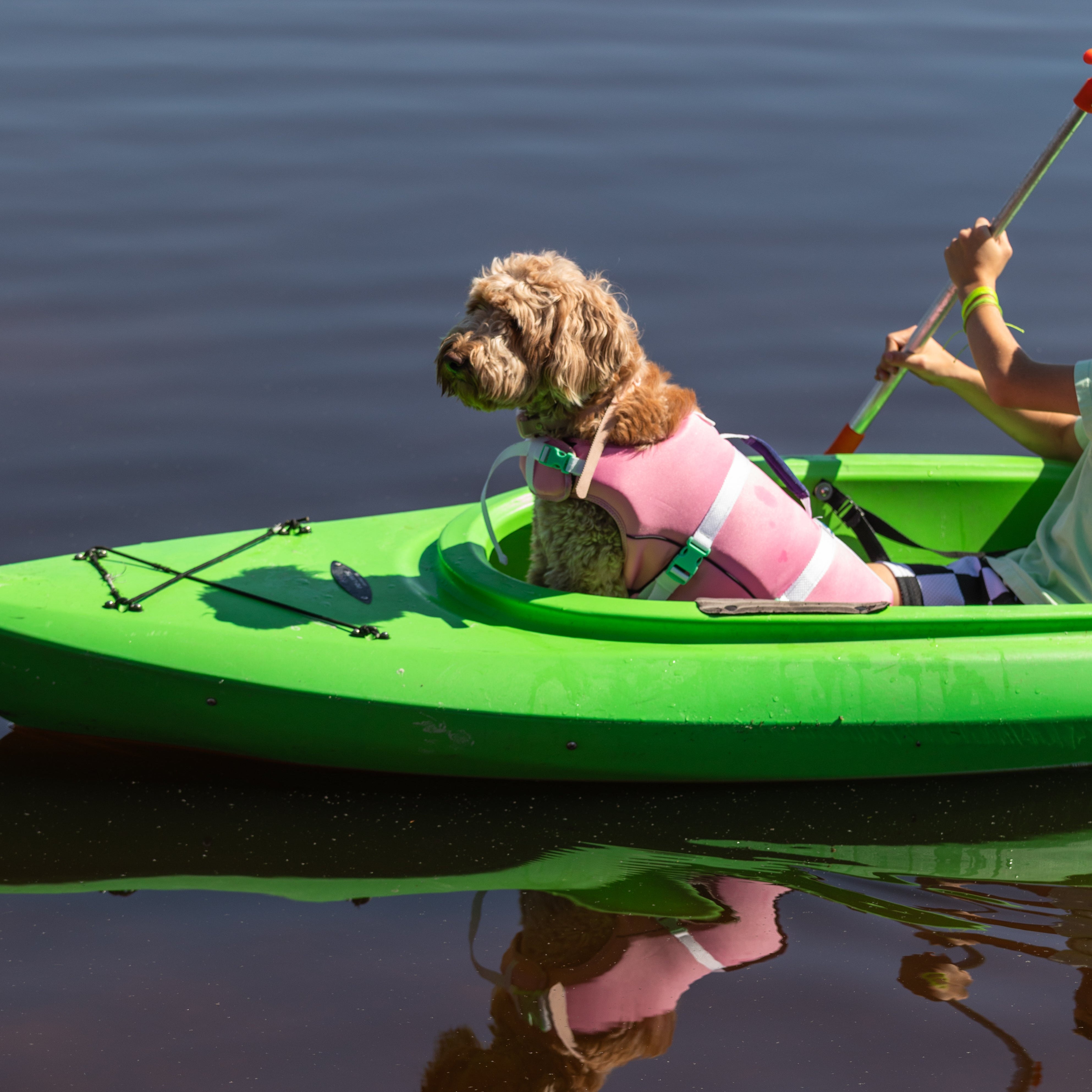 Dog in a pink life jacket sitting in a green kayak on calm water